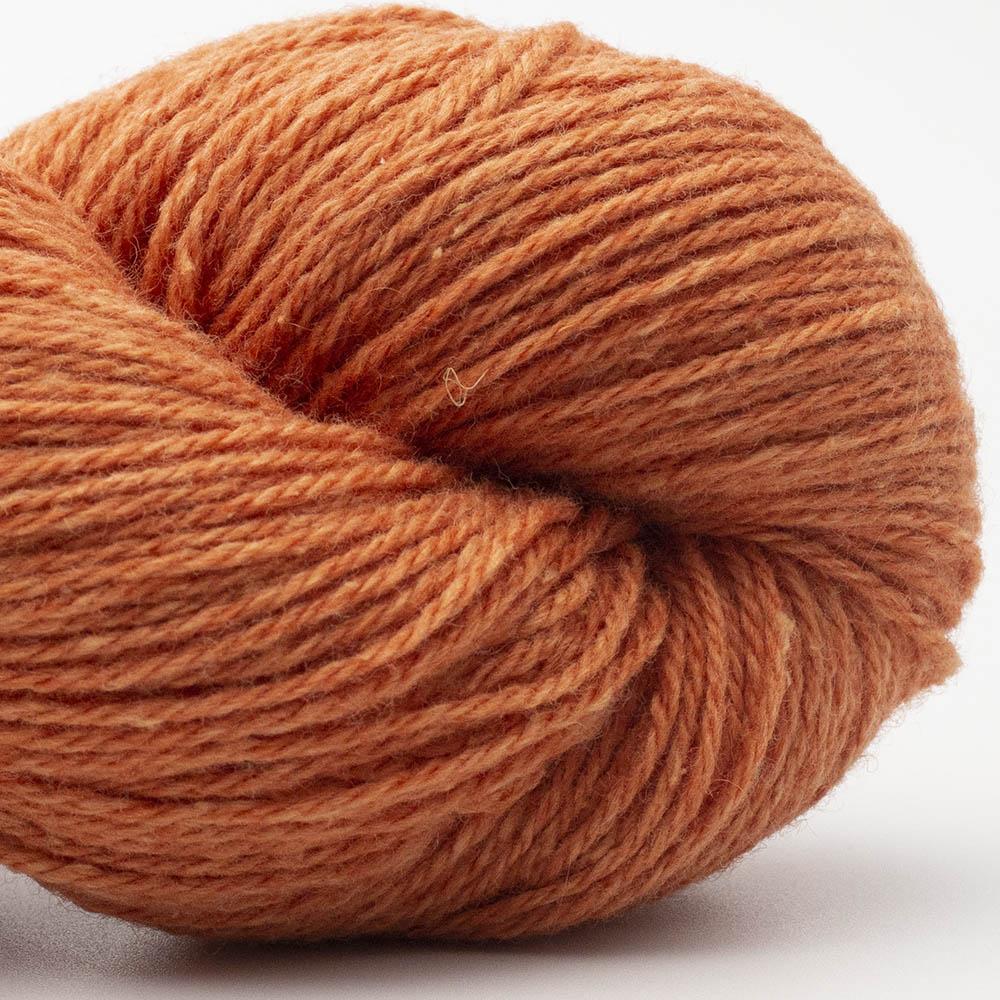 17 Orange