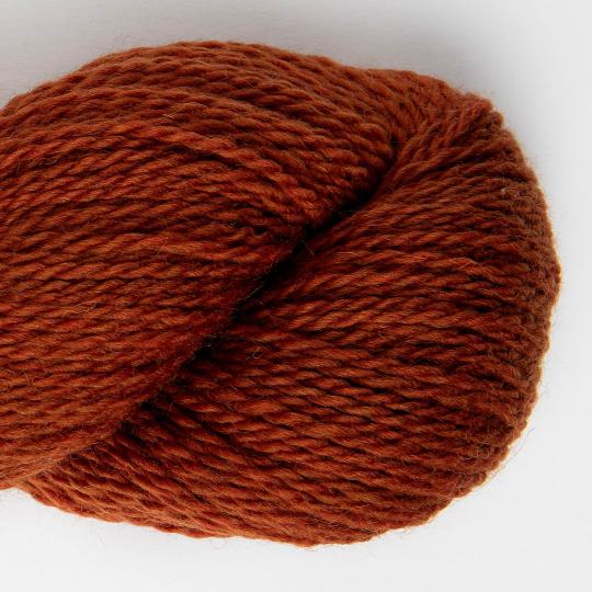 2506 Ochre Mountain