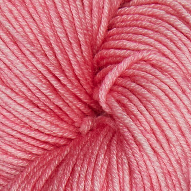 1046 Camellia
