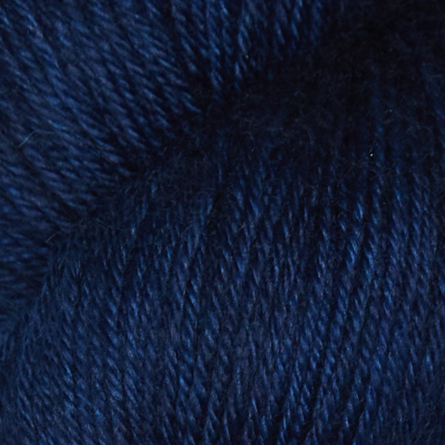 2003 Delhi Blue