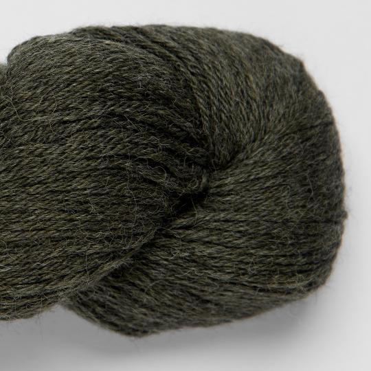 4105 Fern
