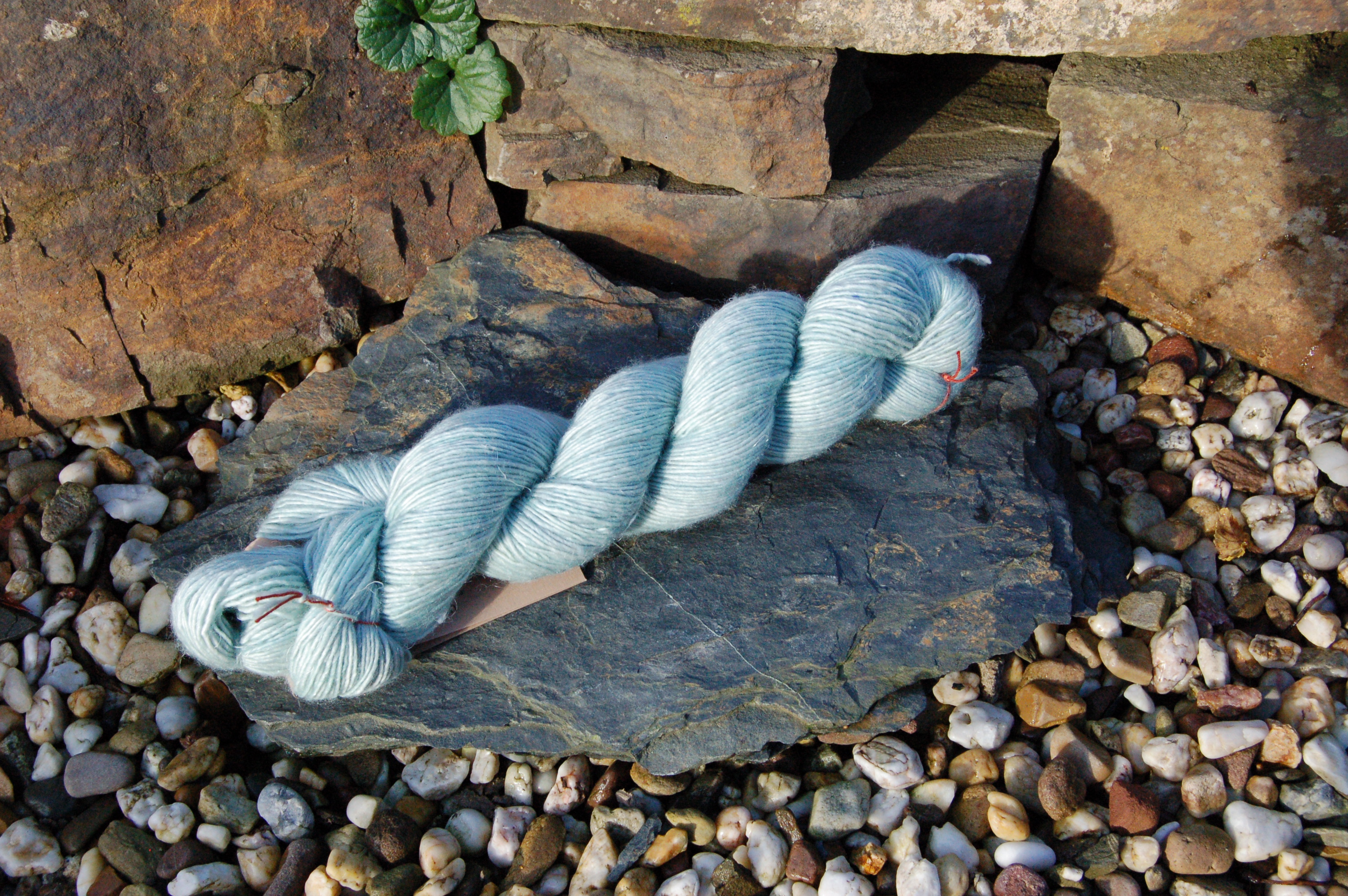 Silver Leaf
