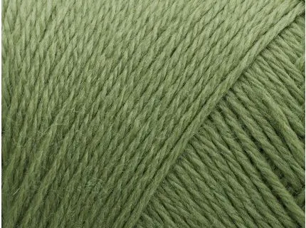 243 Basswood Green