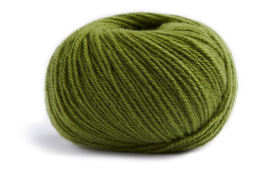 Kiwi 66